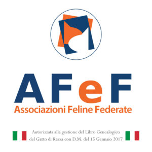 associazione gatti di razza pedigree autorizzati mipaaf associazione felina italiana allevatori cattery