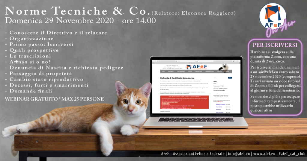webinar afef associazione gatti razza