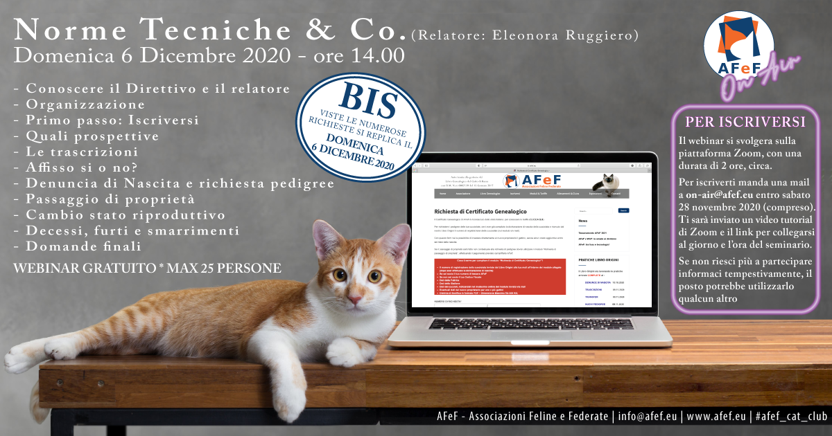 webinar afef associazione gatti razza