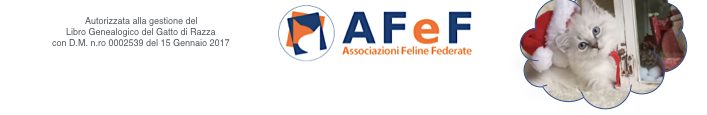 AFeF Associazioni Feline Federate 