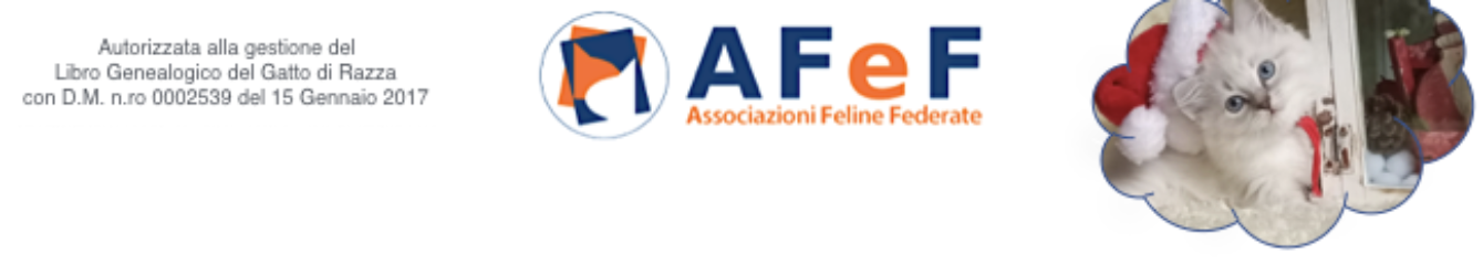 AFeF Associazioni Feline Federate 